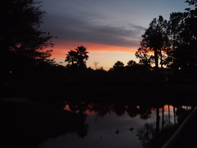 [The trees surrounding the pond are dark. Across the entire sky is a swath of orange clouds adjoining a swath of purple. Above the purple and below the orange the sky is light blue (lighter at the bottom than the top). At the edge of the pond there are some spots of orange around the edges of the tree reflections. There are two ducks swimming on the water.]